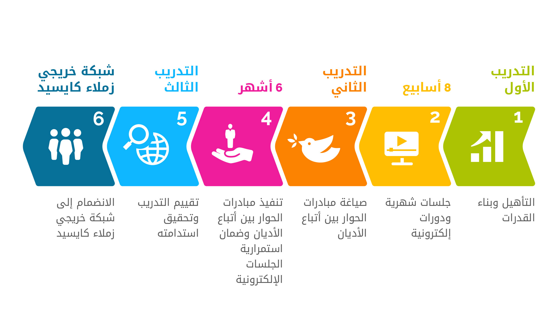 fellows_programme_infographic_-_arabic